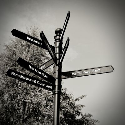 low-angle-view-direction-board-against-sky (1)